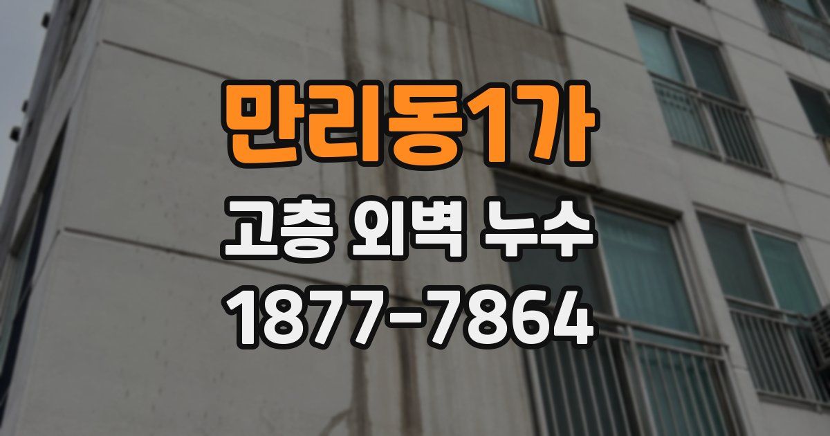 만리동1가 고층 외벽 누수