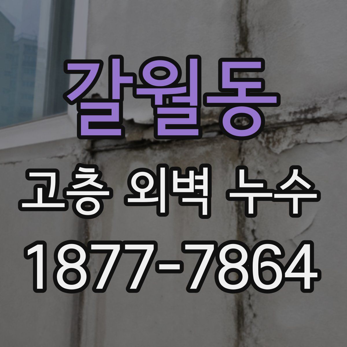 갈월동 고층 외벽 누수