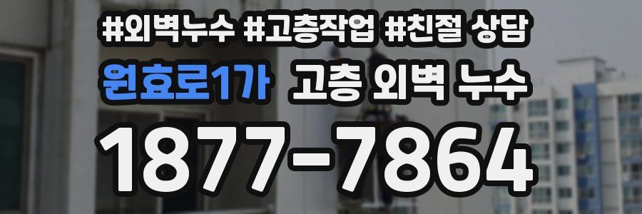 원효로1가 고층 외벽 누수