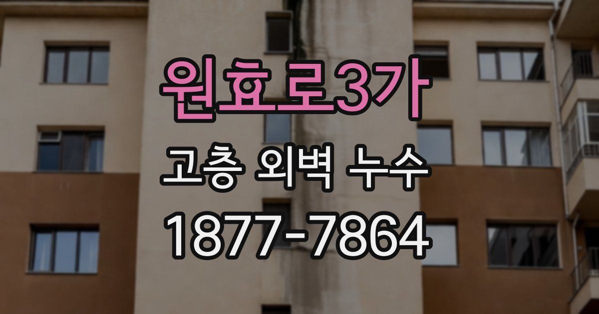 원효로3가 고층 외벽 누수