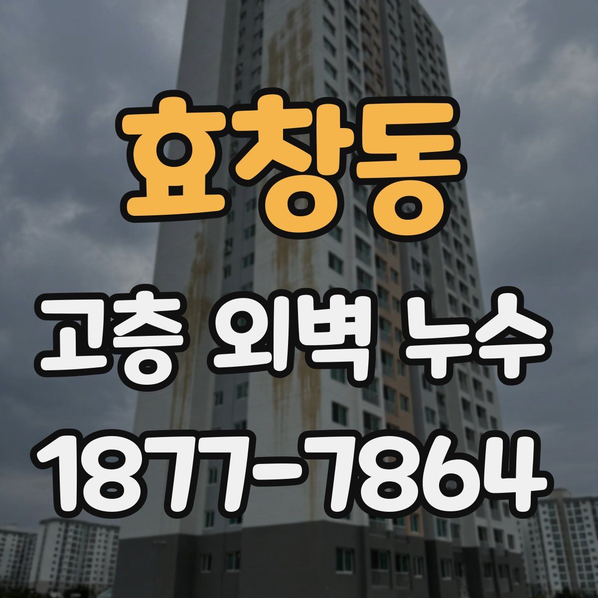 효창동 고층 외벽 누수