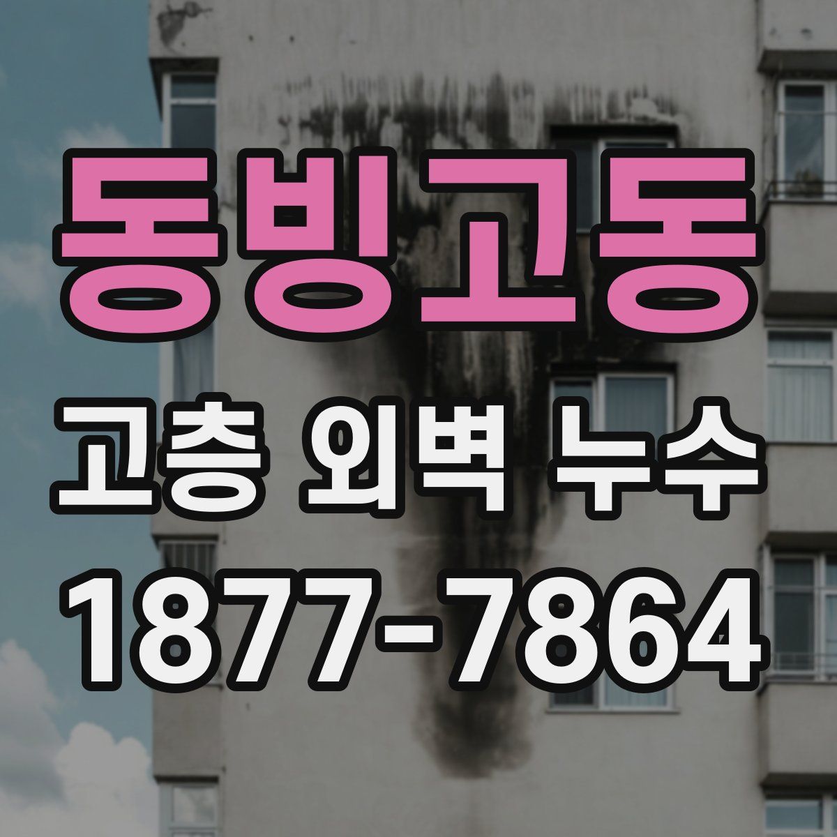 동빙고동 고층 외벽 누수