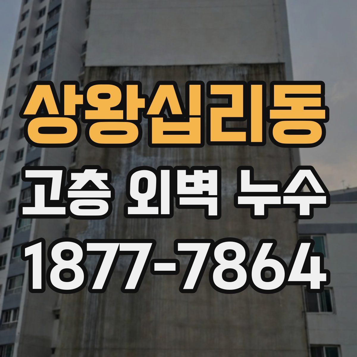 상왕십리동 고층 외벽 누수
