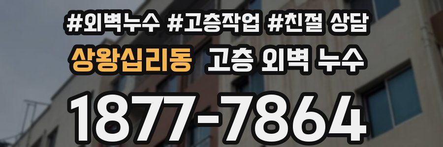 상왕십리동 고층 외벽 누수