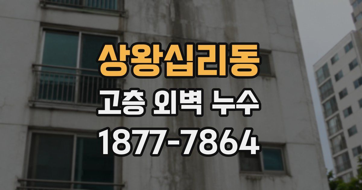 상왕십리동 고층 외벽 누수