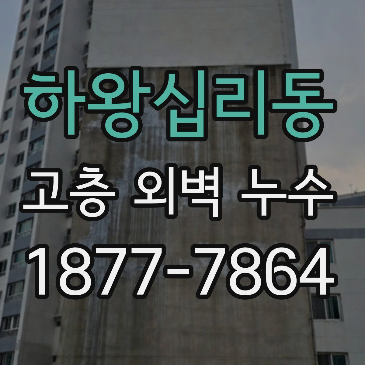 하왕십리동 고층 외벽 누수