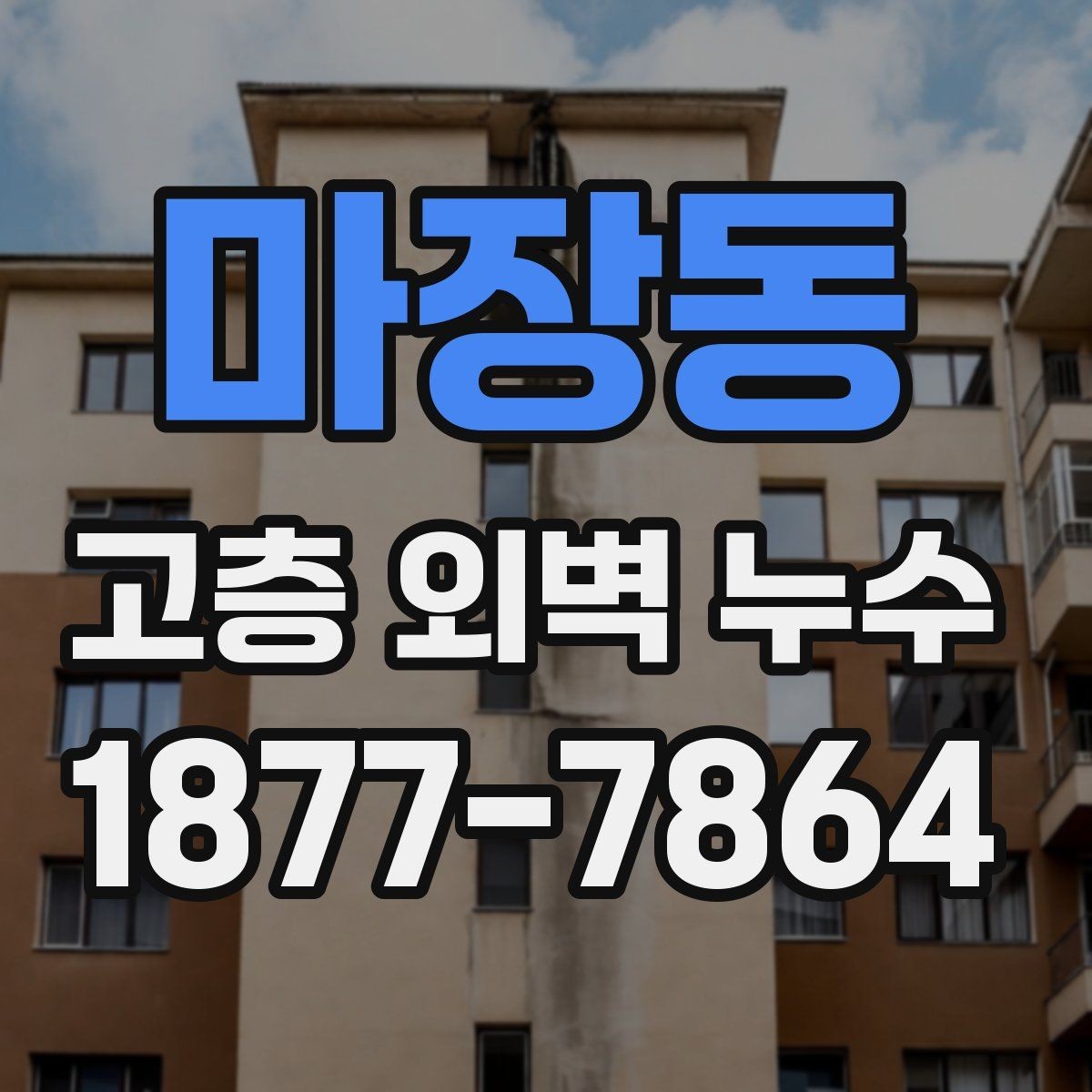 마장동 고층 외벽 누수 외부 마감재 상태 확인하기