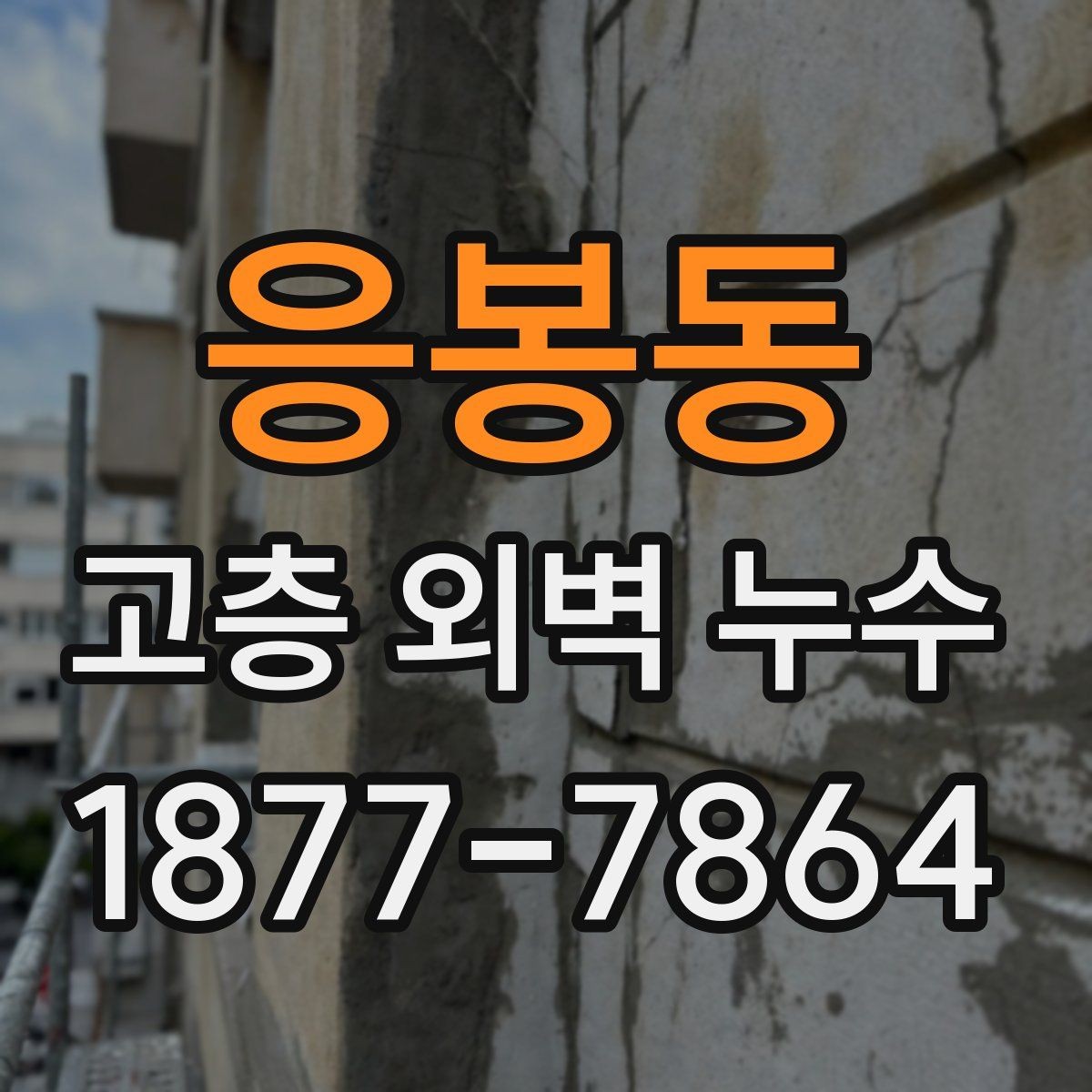 응봉동 고층 외벽 누수 점검은 언제 해야 할까