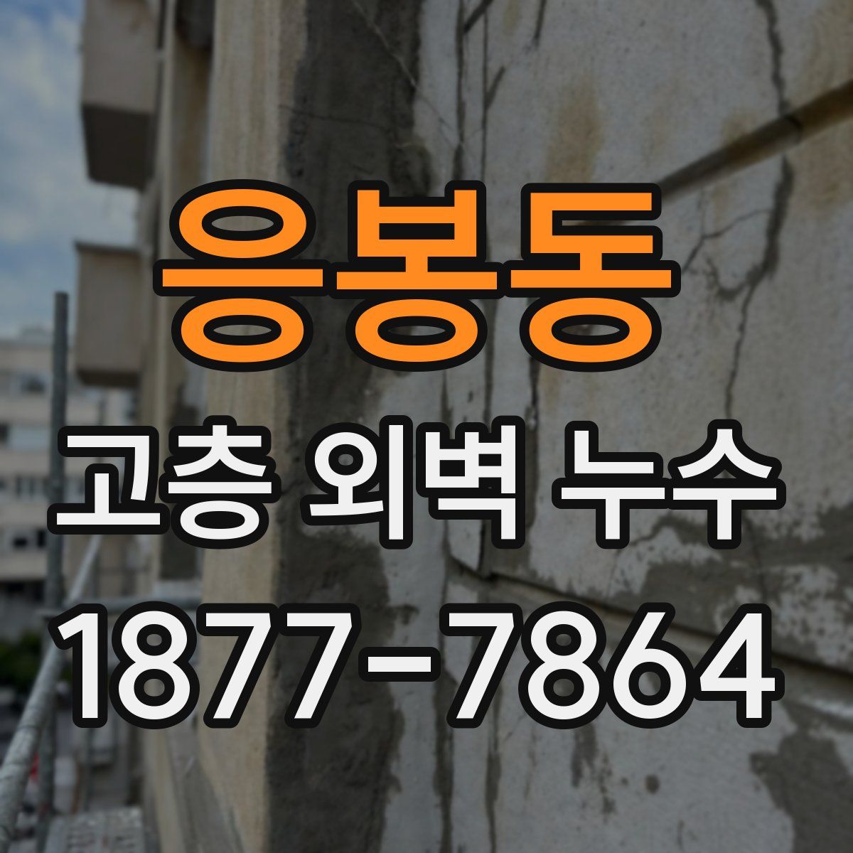 응봉동 고층 외벽 누수