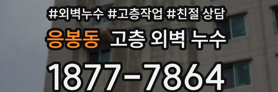 응봉동 고층 외벽 누수