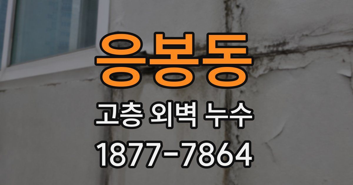 응봉동 고층 외벽 누수