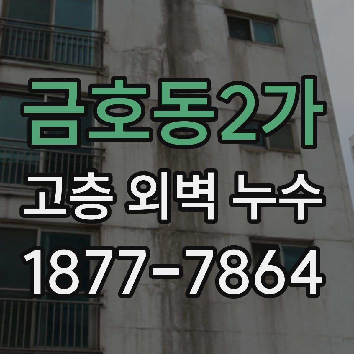 금호동2가 고층 외벽 누수 외벽 마감재 교체가 필요한 경우