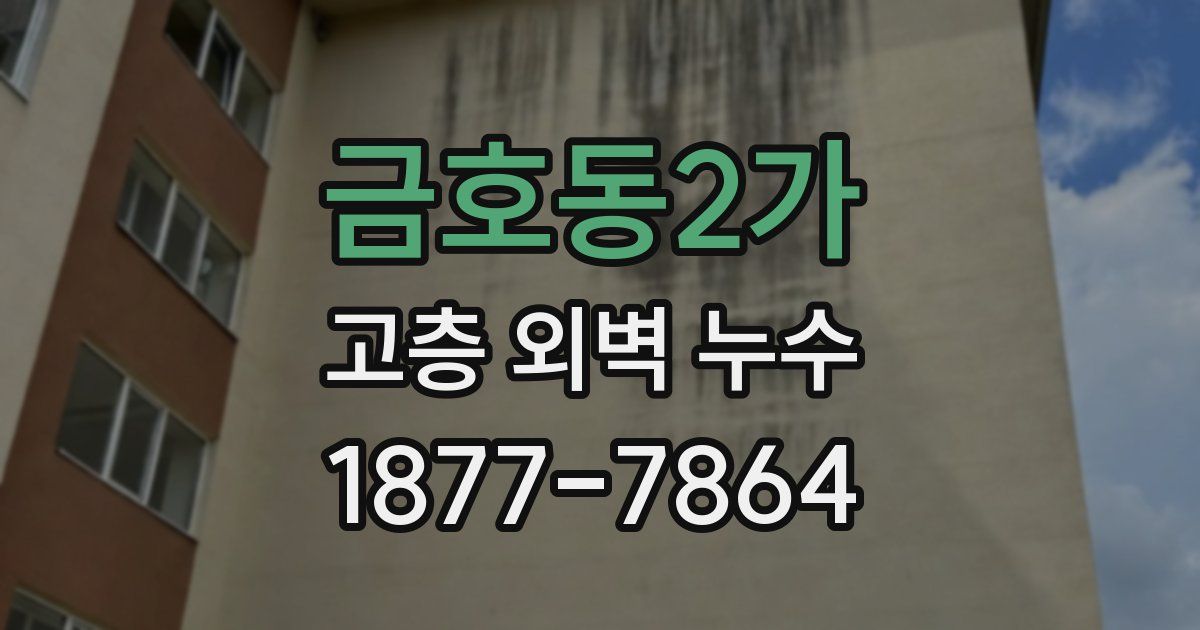 금호동2가 고층 외벽 누수