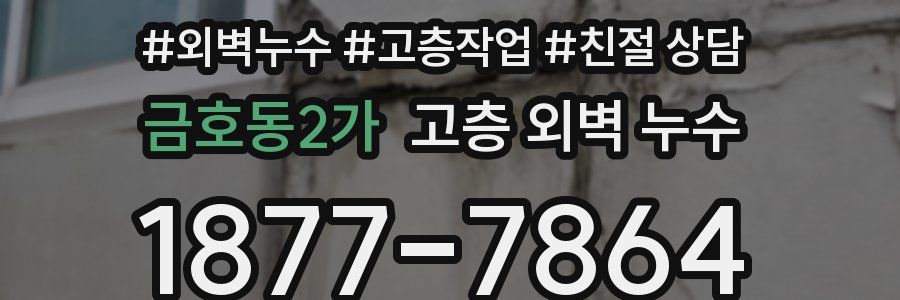 금호동2가 고층 외벽 누수