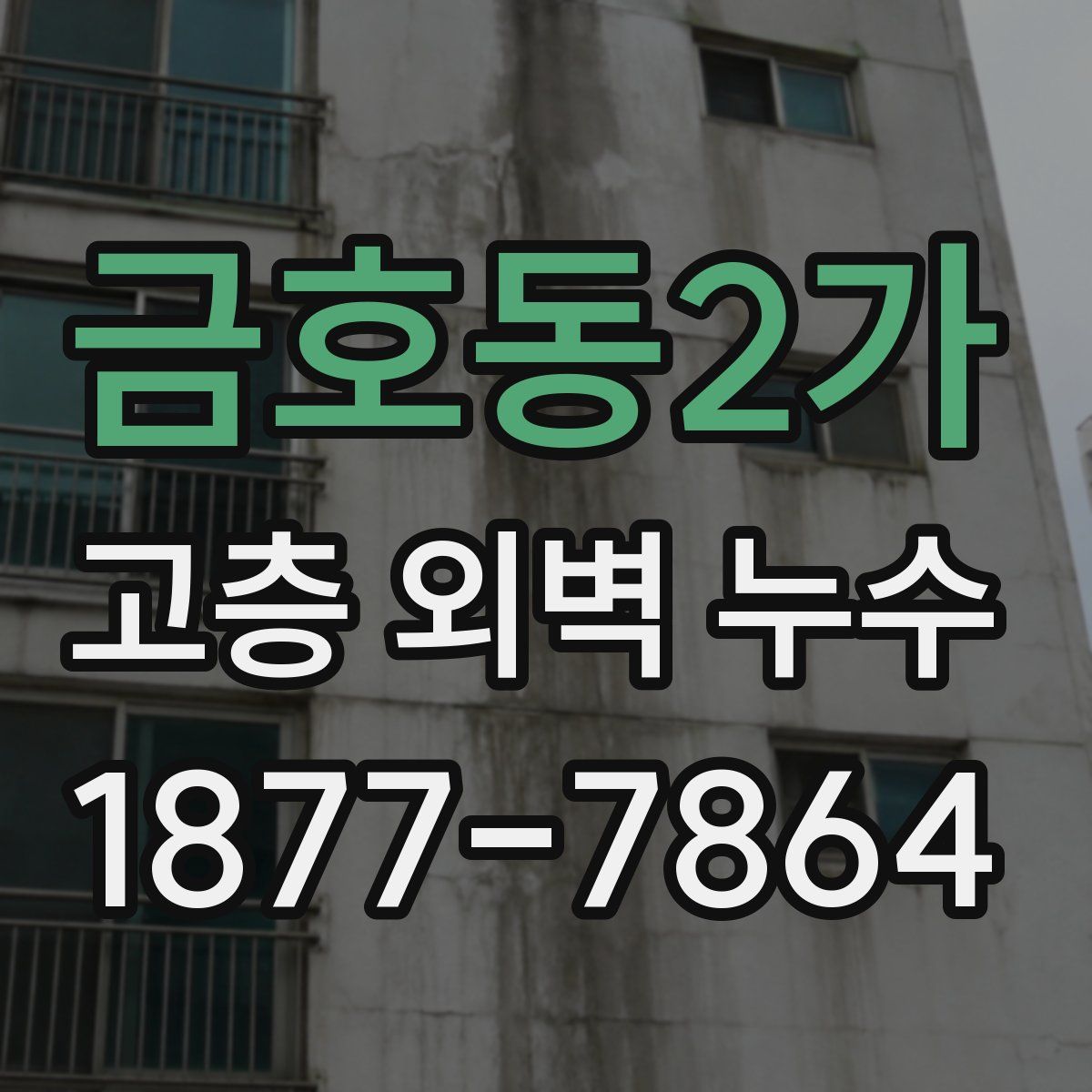금호동2가 고층 외벽 누수