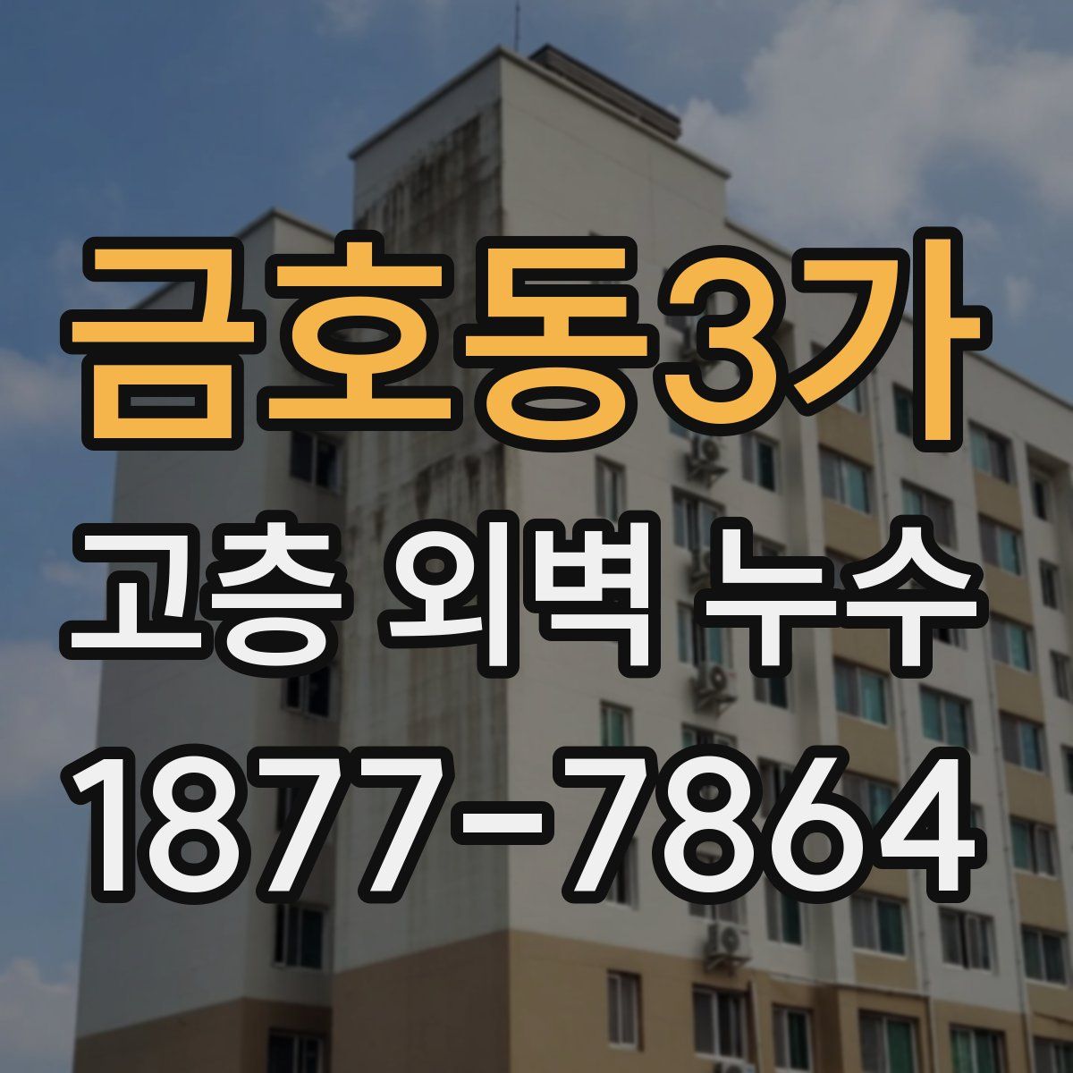 금호동3가 고층 외벽 누수
