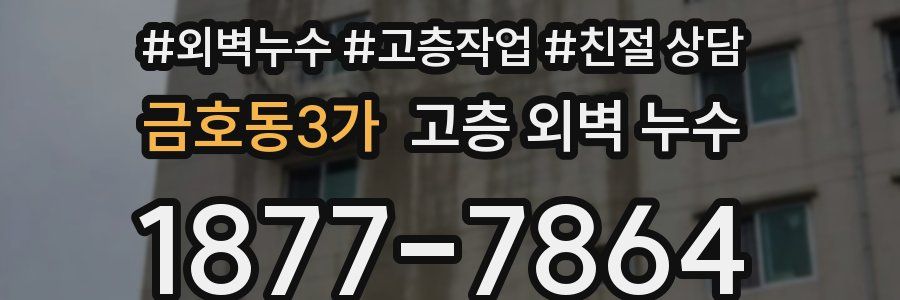 금호동3가 고층 외벽 누수