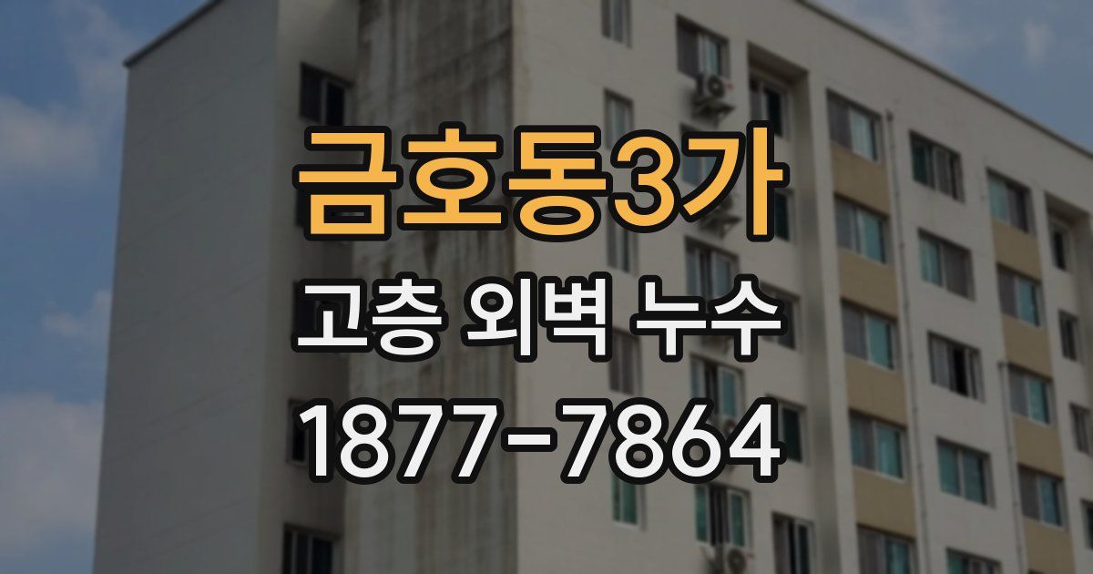 금호동3가 고층 외벽 누수