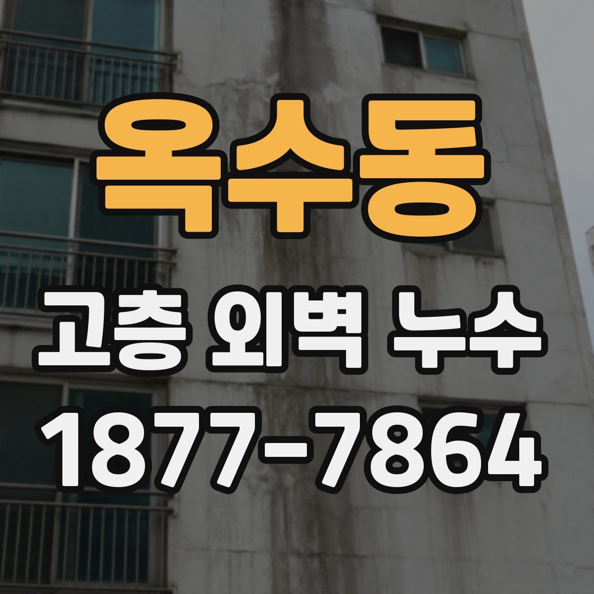 옥수동 고층 외벽 누수