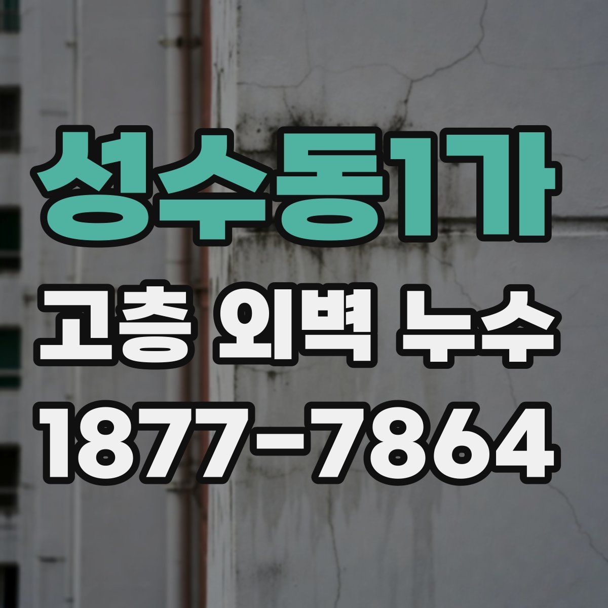 성수동1가 고층 외벽 누수