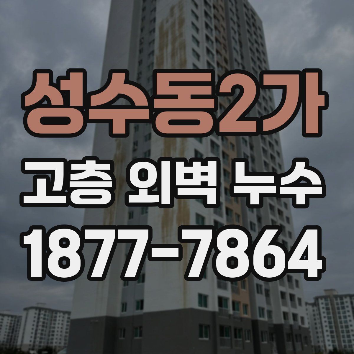 성수동2가 고층 외벽 누수 외부 마감재 상태 확인하기