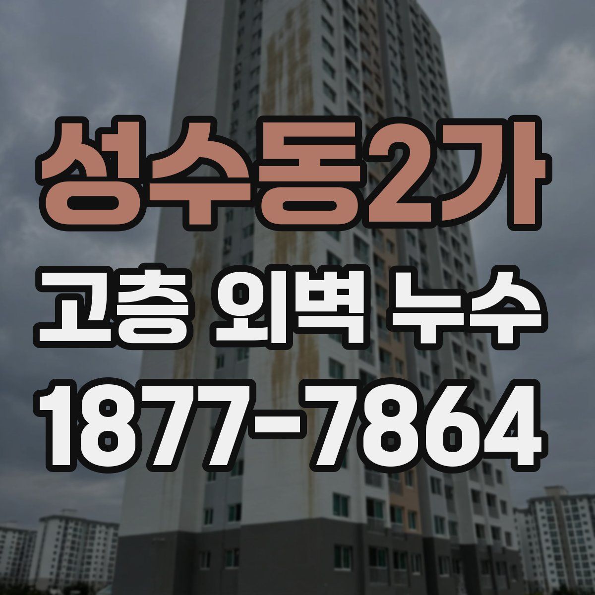 성수동2가 고층 외벽 누수
