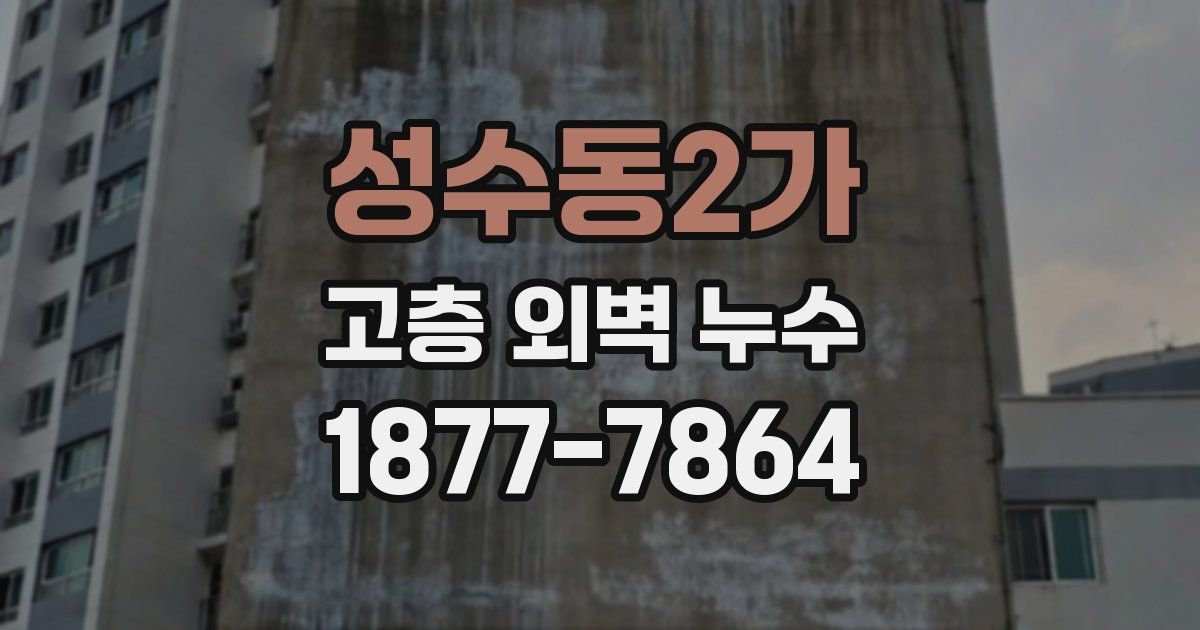 성수동2가 고층 외벽 누수