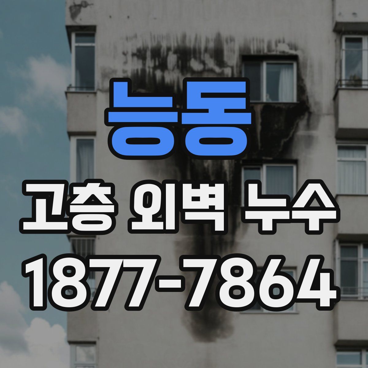능동 고층 외벽 누수