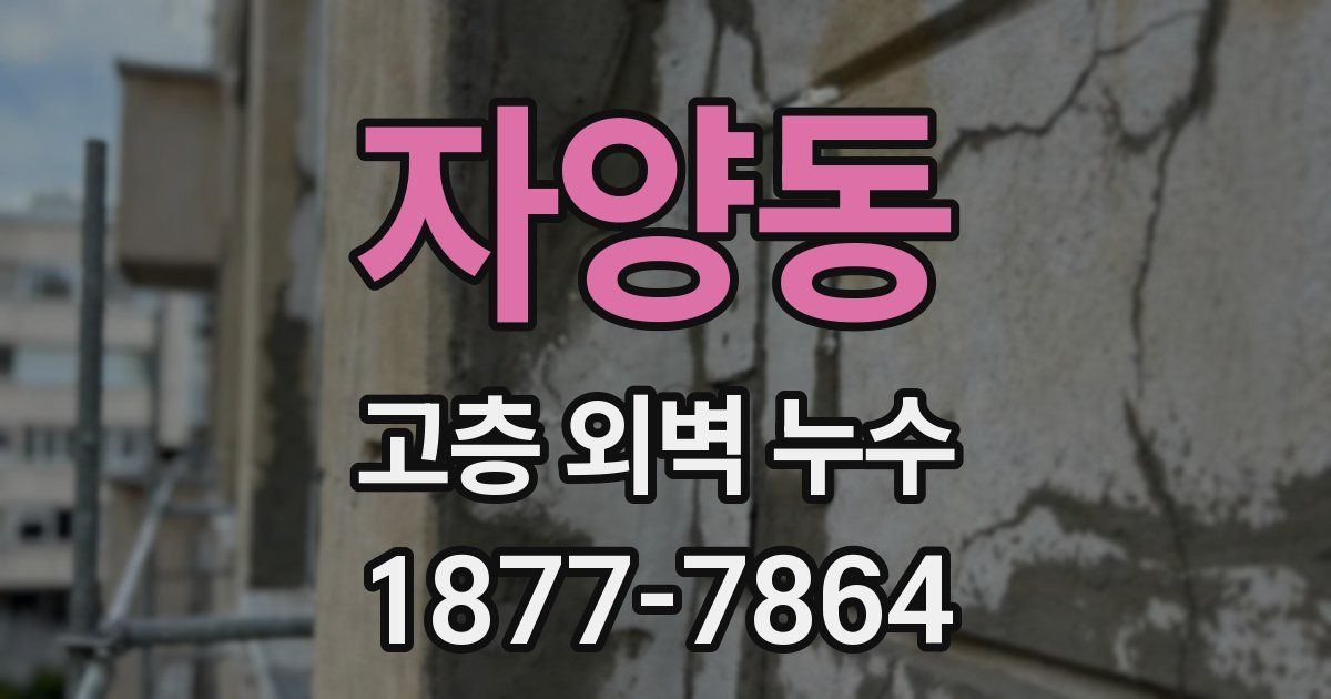 자양동 고층 외벽 누수