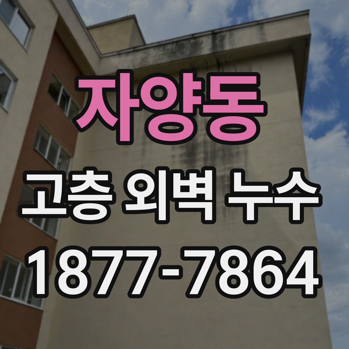 자양동 고층 외벽 누수