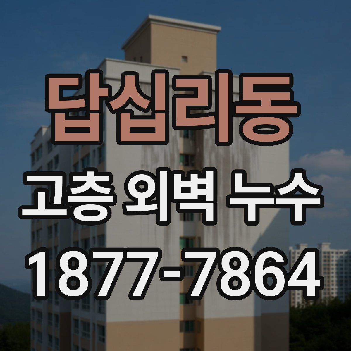 답십리동 고층 외벽 누수