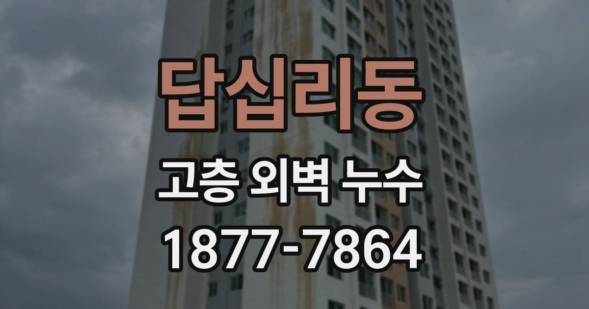 답십리동 고층 외벽 누수