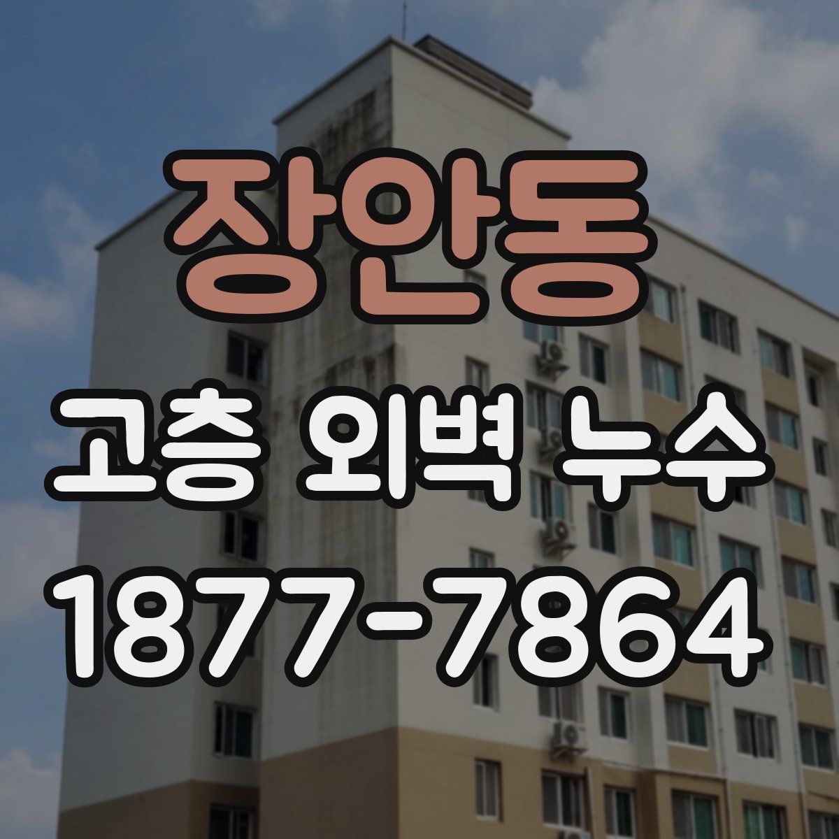 장안동 고층 외벽 누수