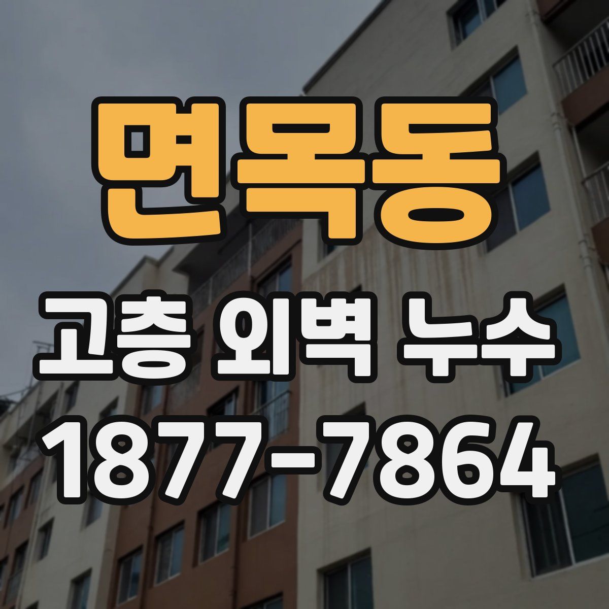 면목동 고층 외벽 누수
