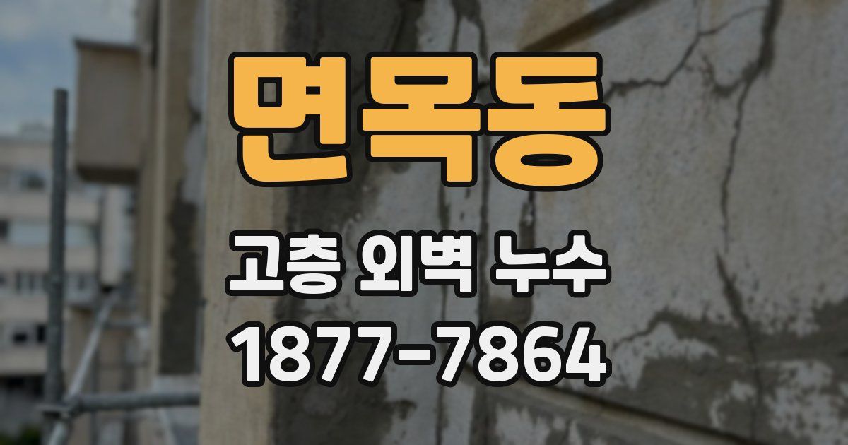 면목동 고층 외벽 누수