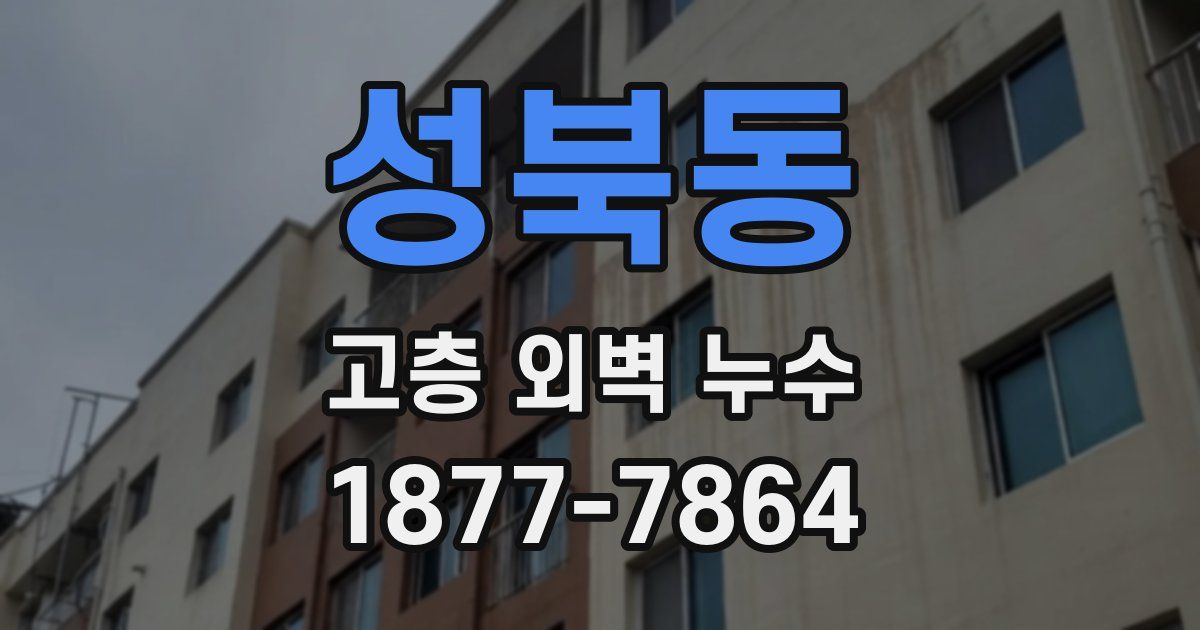 성북동 고층 외벽 누수