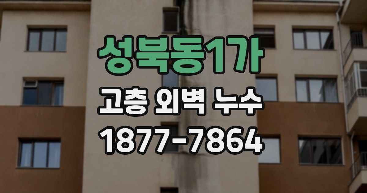성북동1가 고층 외벽 누수