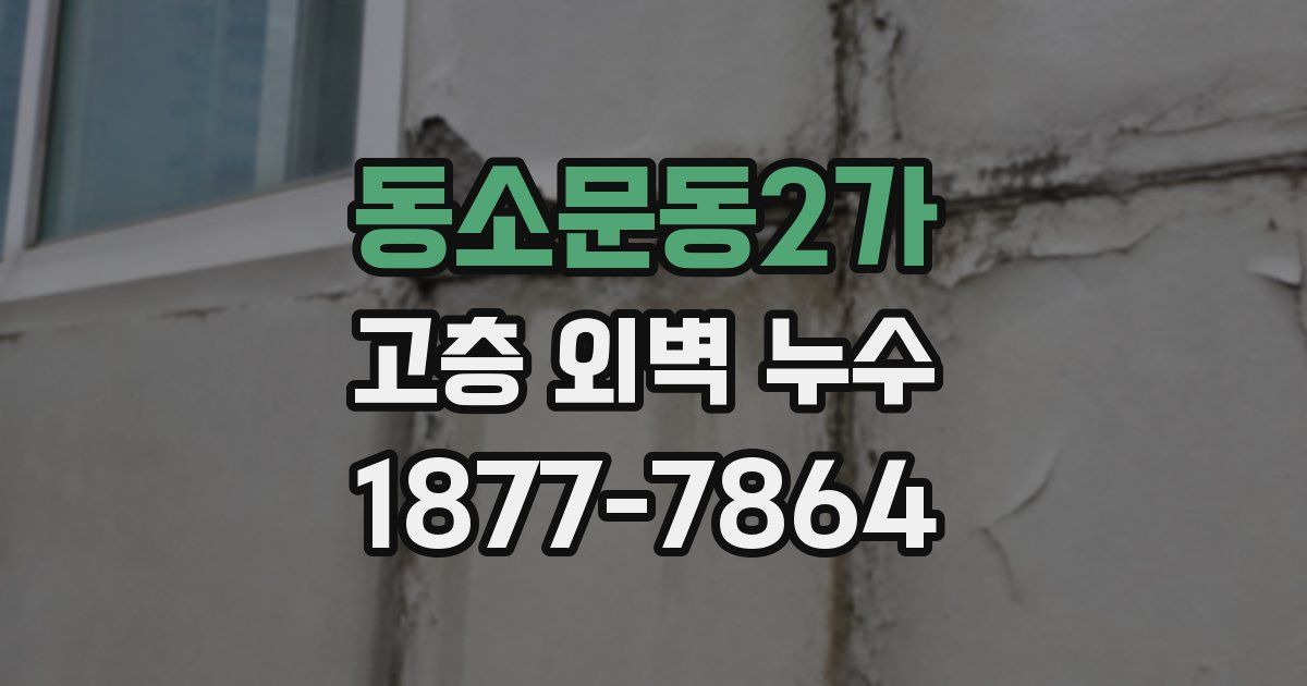 동소문동2가 고층 외벽 누수