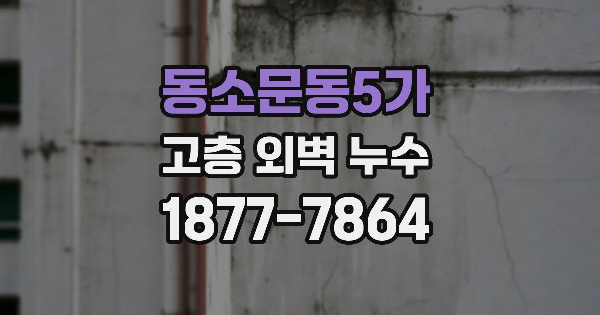 동소문동5가 고층 외벽 누수