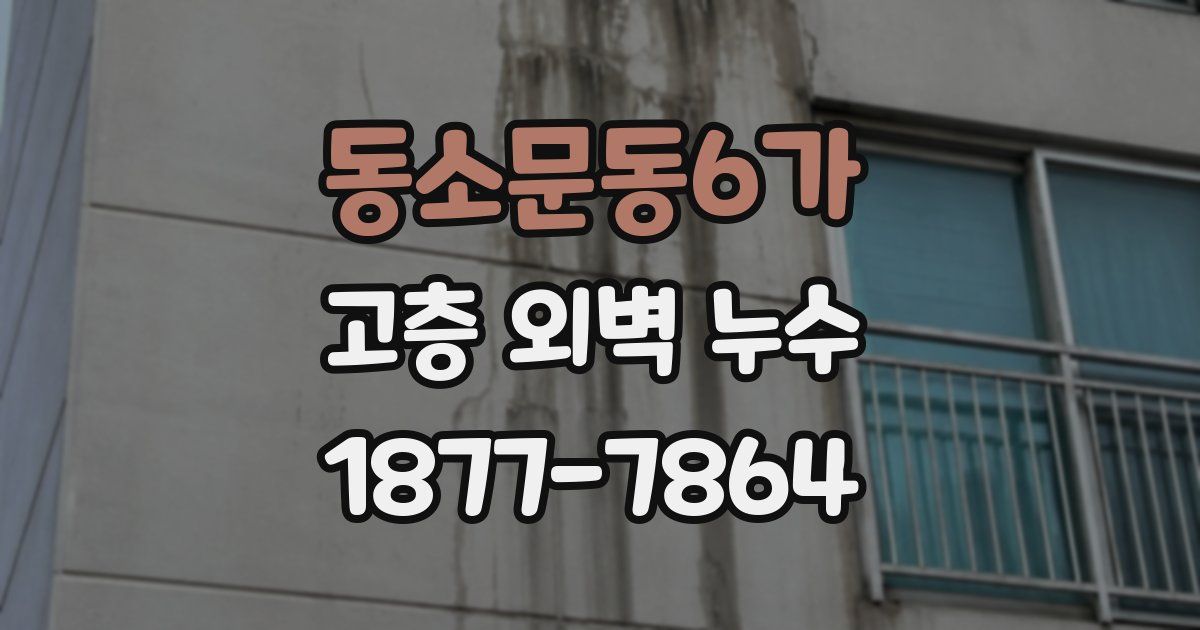 동소문동6가 고층 외벽 누수