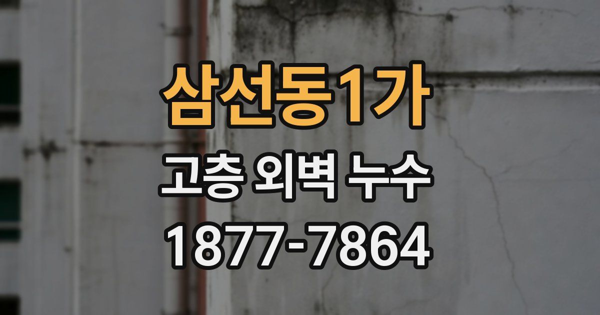 삼선동1가 고층 외벽 누수