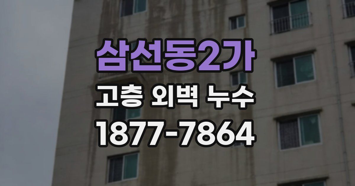 삼선동2가 고층 외벽 누수