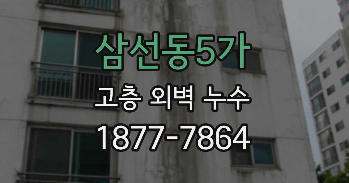 삼선동5가 고층 외벽 누수