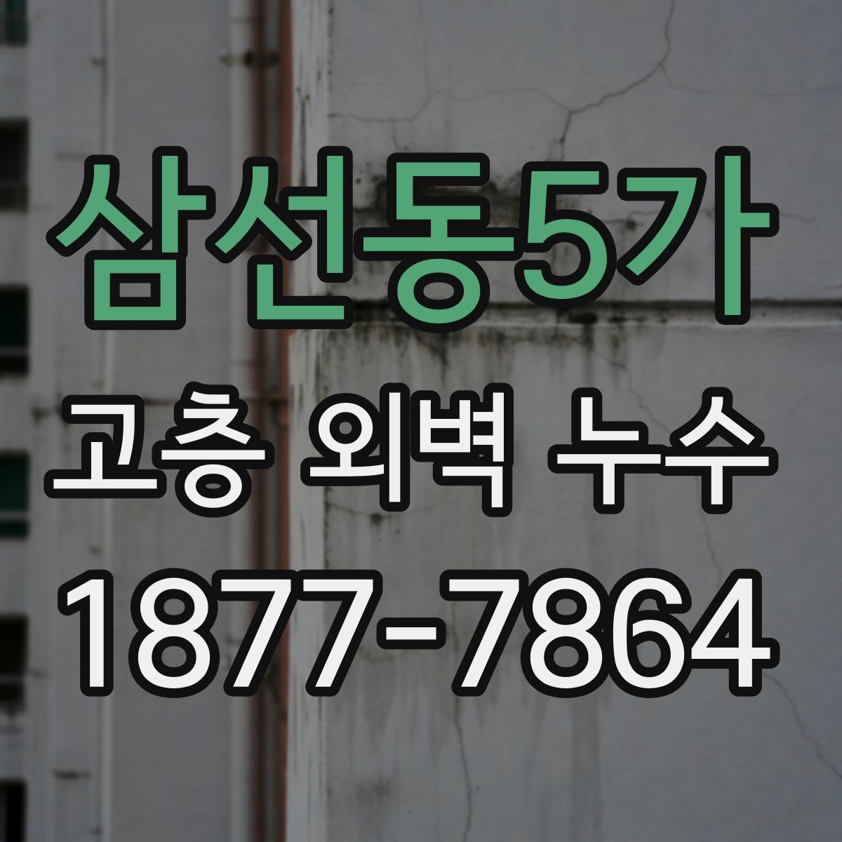 삼선동5가 고층 외벽 누수