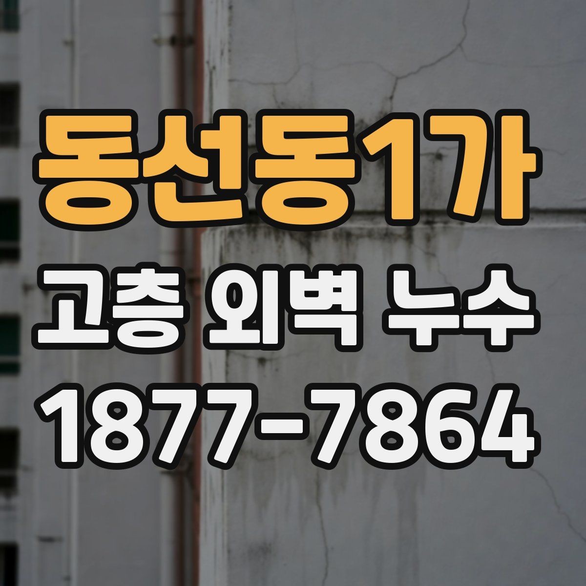 동선동1가 고층 외벽 누수 원인과 증상으로 보는 구분법