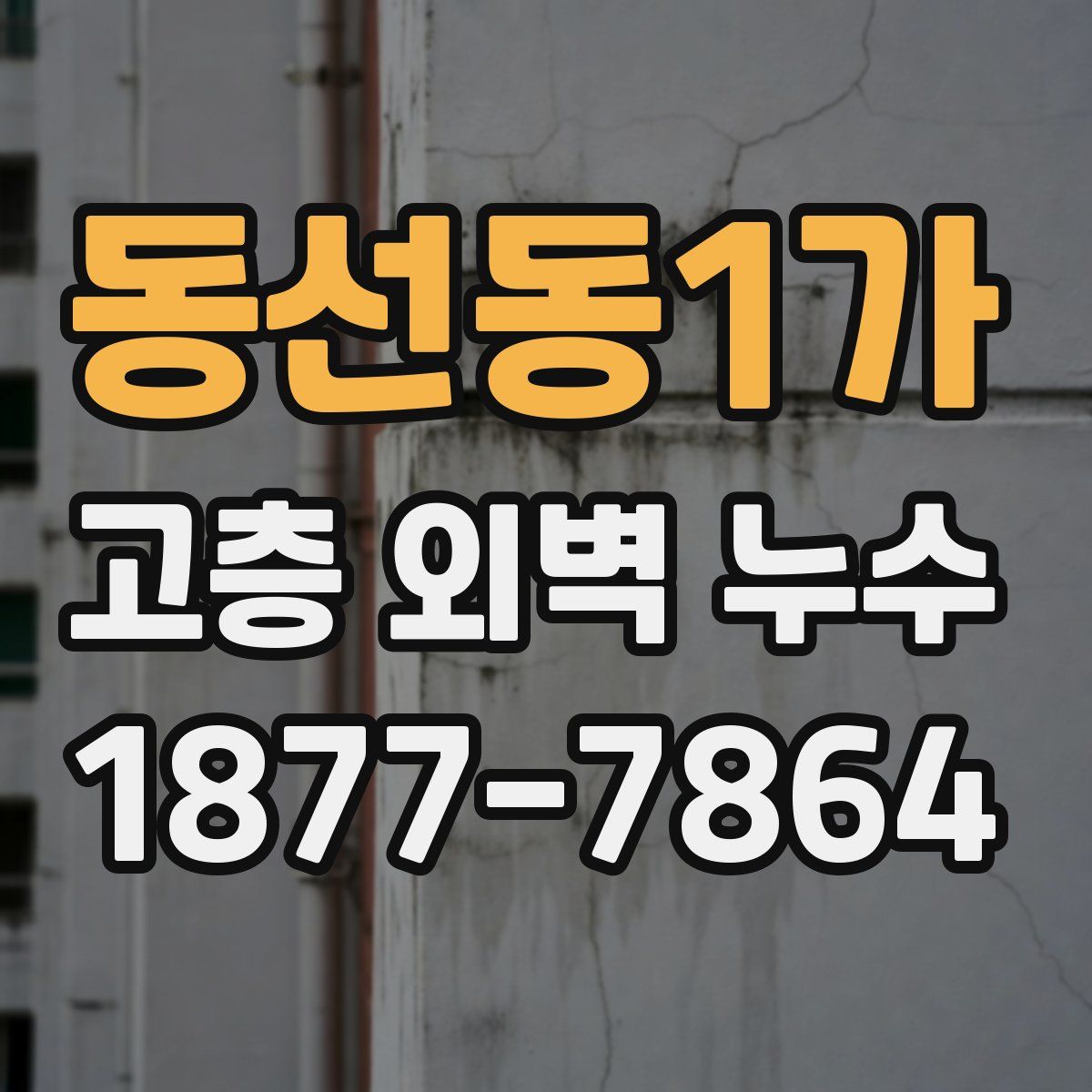 동선동1가 고층 외벽 누수