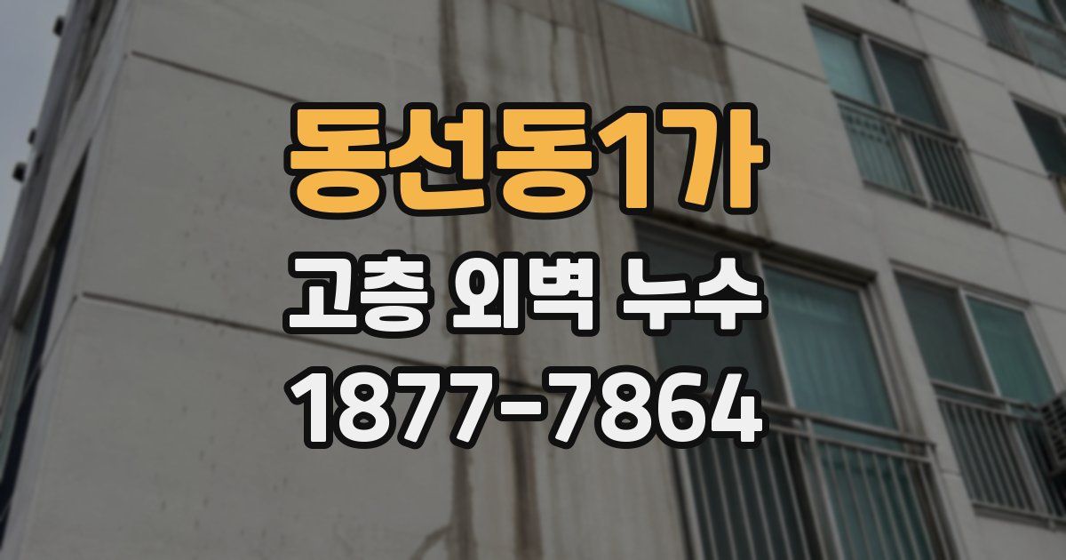 동선동1가 고층 외벽 누수