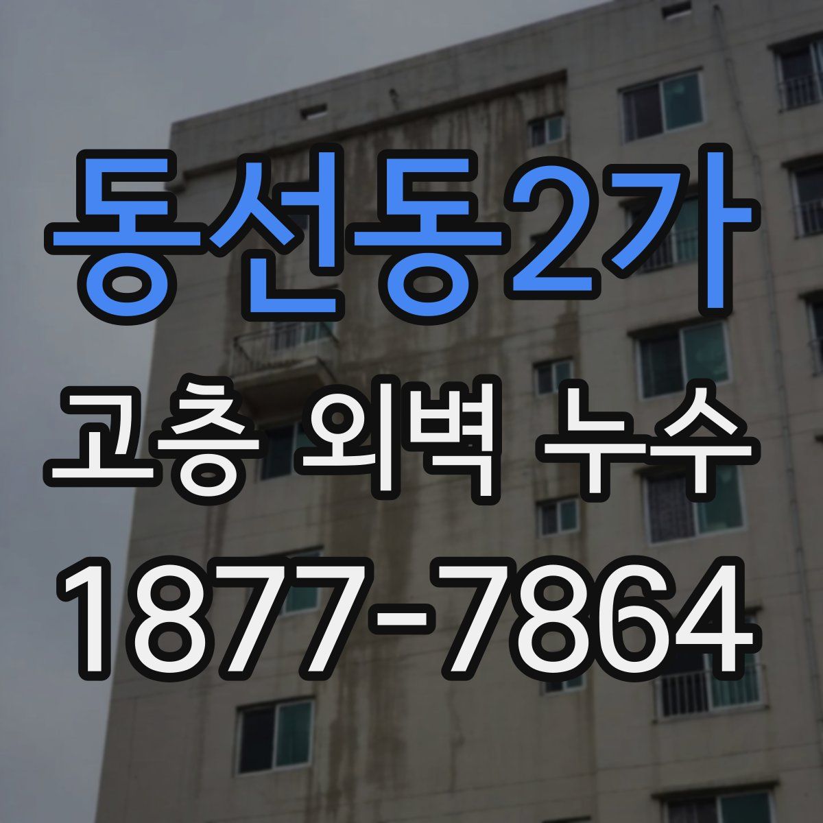 동선동2가 고층 외벽 누수