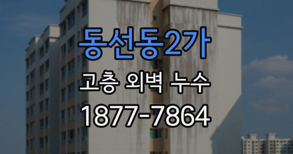 동선동2가 고층 외벽 누수