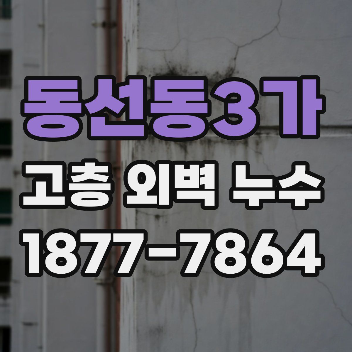 동선동3가 고층 외벽 누수